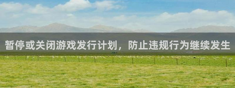 im电竞主管：暂停或关闭游戏发行计划，防止违规行为继续发生