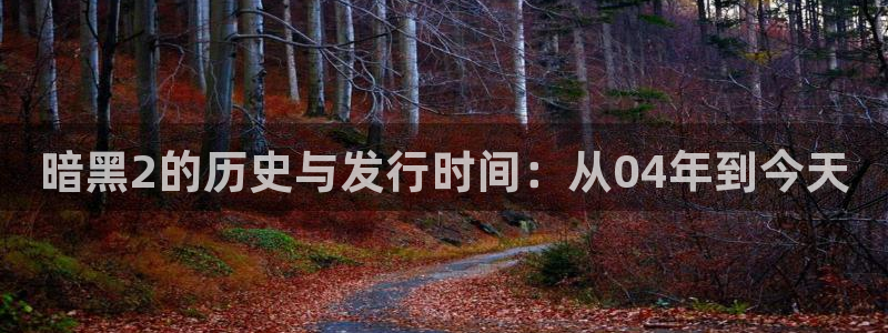 im电竞官网注册平台是什么：暗黑2的历史与发行时间：从04年到今天