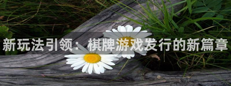 深圳im电竞电商