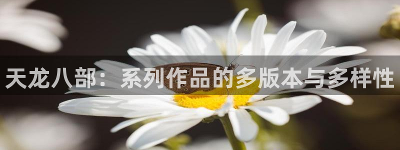 im电竞球队：天龙八部：系列作品的多版本与多样性