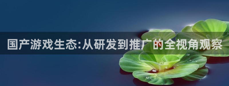 im电竞子小说：国产游戏生态:从研发到推广的全视角观察
