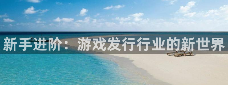 im电竞子财经丛书：新手进阶：游戏发行行业的新世界