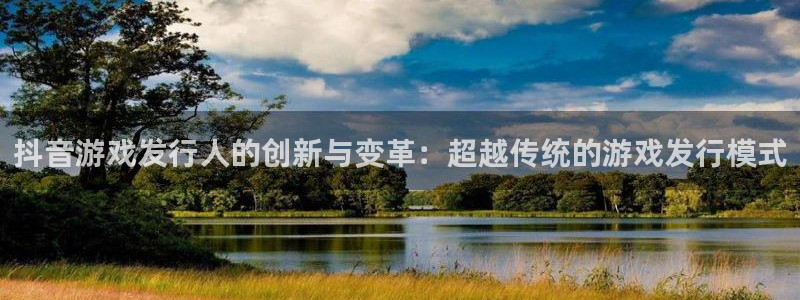 广东im电竞电子商务有限公司：抖音游戏发行人的创新与变革：超越传统的游戏发行模式