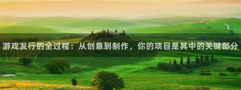 im电竞官网代理开号平台：游戏发行的全过程：从创意到制作，你的项目是其中的关键部分