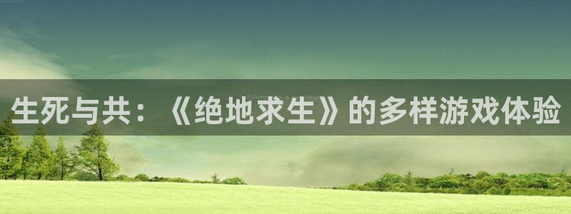 im电竞子文化是什么