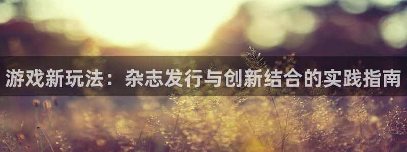 im电竞官网注册平台登录：游戏新玩法：杂志发行与创新结合的实践指南