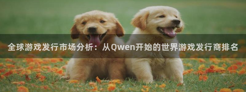 im电竞官网平台代理开号流程