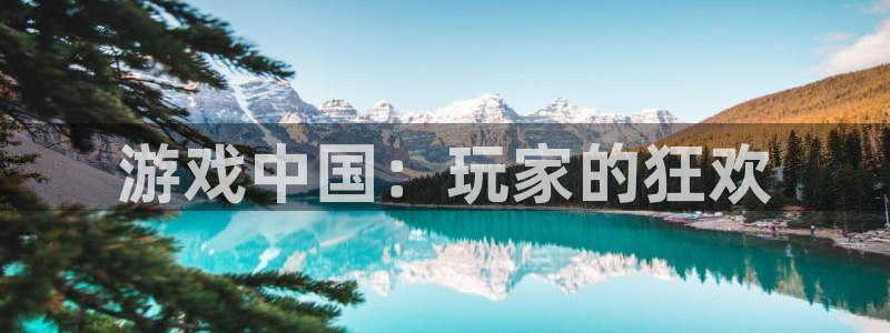 im电竞啤酒多少钱一箱