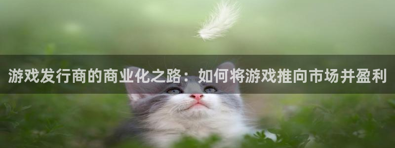 im电竞干红葡萄酒750毫升多少钱