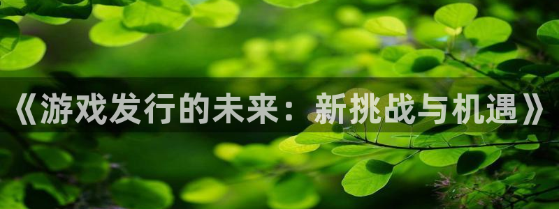 作者im电竞子