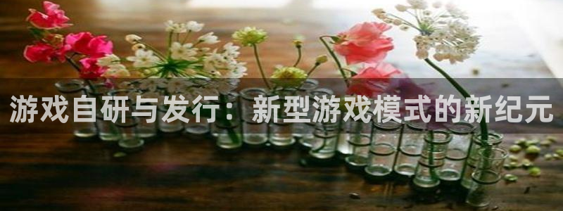 im电竞智邦(北京)品牌策划有限公司：游戏自研与发行：新型游戏模式的新纪元