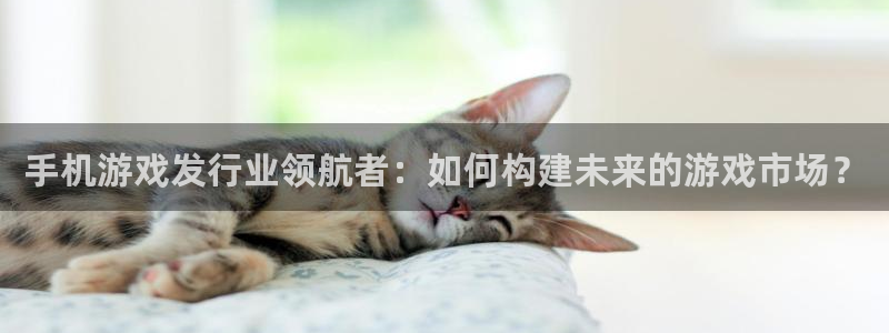im电竞官网平台代理开号是真的吗