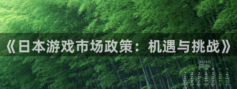 im电竞官网客服怎么样