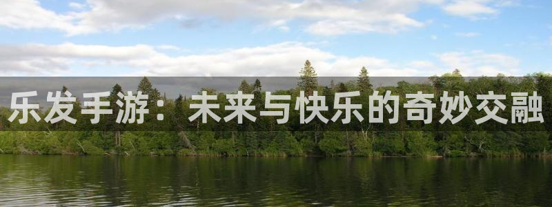 im电竞多少钱