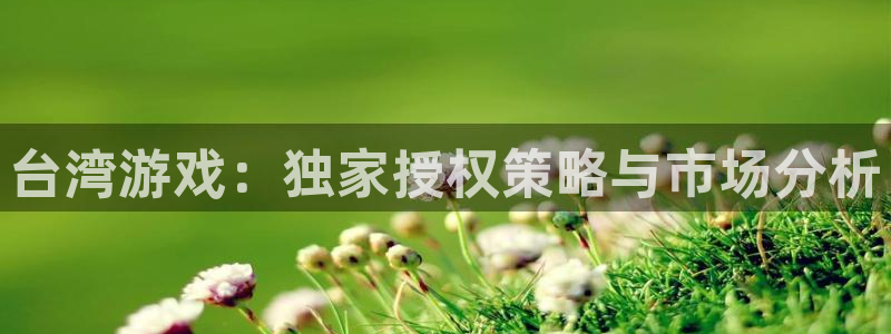 南京im电竞子电子商务有限公司：台湾游戏：独家授权策略与市场分析