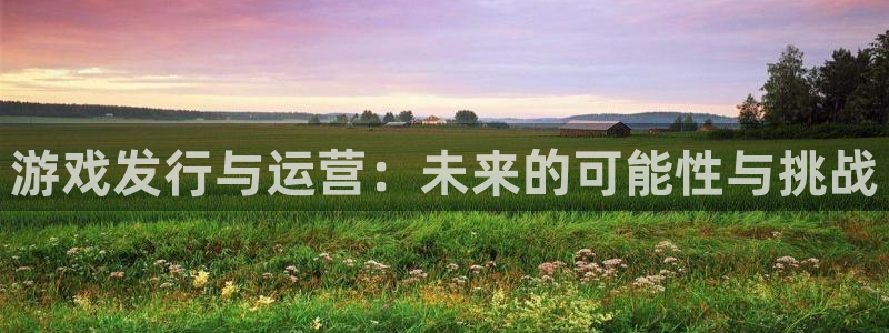 im电竞官网注册方法是什么软件：游戏发行与运营：未来的可能性与挑战